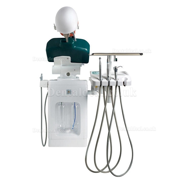 Jingle JG-A1 Phantom Head For Dental Students Dental Patient Simulation Unit